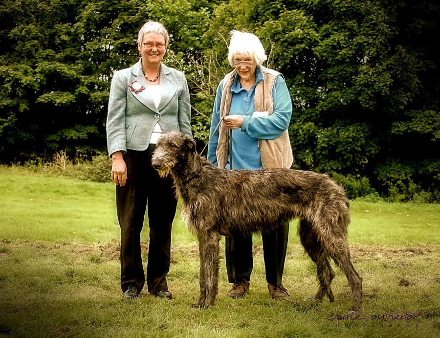 Best Puppies Limited Show 2015